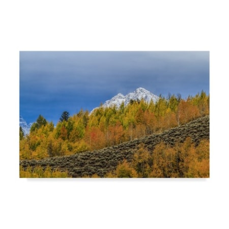 Galloimages Online 'Mountain Fall Color' Canvas Art,22x32